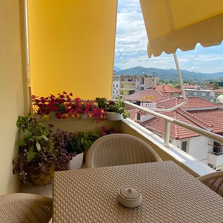 Apartment Sava's House *